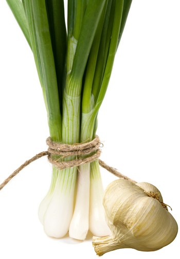 onion___Garlic.jpg