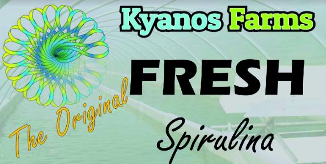 Kyanos_Farms_Sprialina.JPG