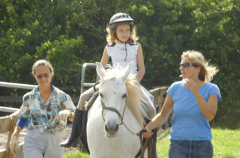 happy_herald_article_HorseSense_03.jpg
