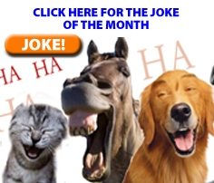 jokes.jpg