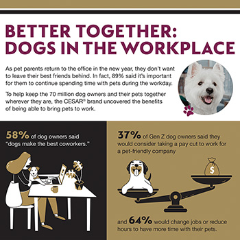 The_Benefits_of_Dogs_in_the_Workplace.jpg