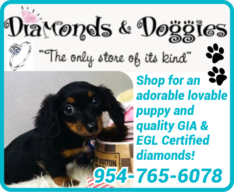 Diamonds_and_Doggies.jpg