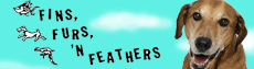 FinsFurs_Feathers.jpg